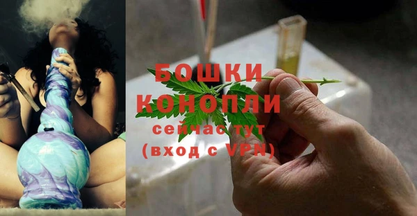 сатива Дмитриев