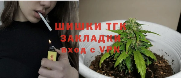 сатива Дмитриев
