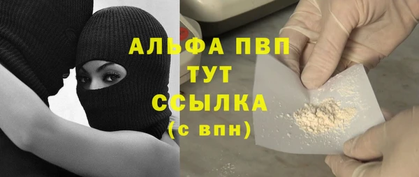 ALPHA PVP Гусев