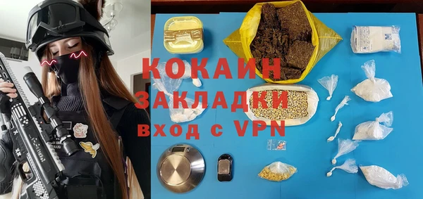 ALPHA PVP Гусев