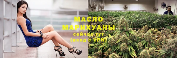 гидра Гусь-Хрустальный