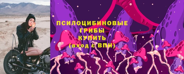 2c-b Дмитров