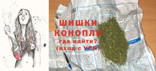 гидра Гусь-Хрустальный