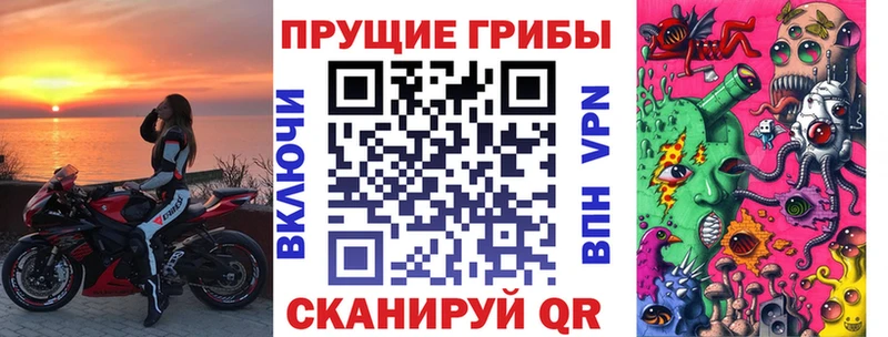 Псилоцибиновые грибы GOLDEN TEACHER  Купить закладки  Короча 